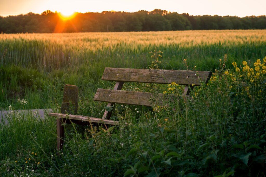 Die heilende Kraft der Stille: Warum sie so wichtig für die Psyche ist auf psychologie-heute.info